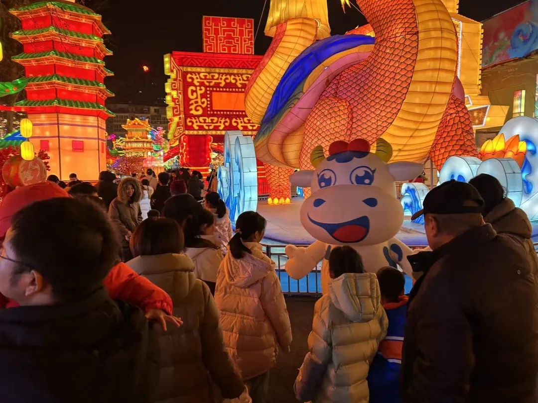 央视直播郑州龙年灯会迎新春，世界杯官方入口品牌上大分