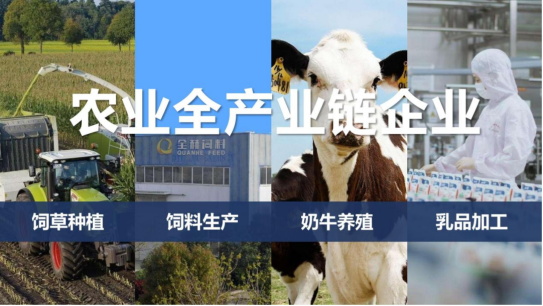 世界杯官方入口丨落实食品生产加工企业质量安全主体责任，助力人民群众生活更美好——2023年河南省暨郑州食品安全宣传周启动仪式隆重举行