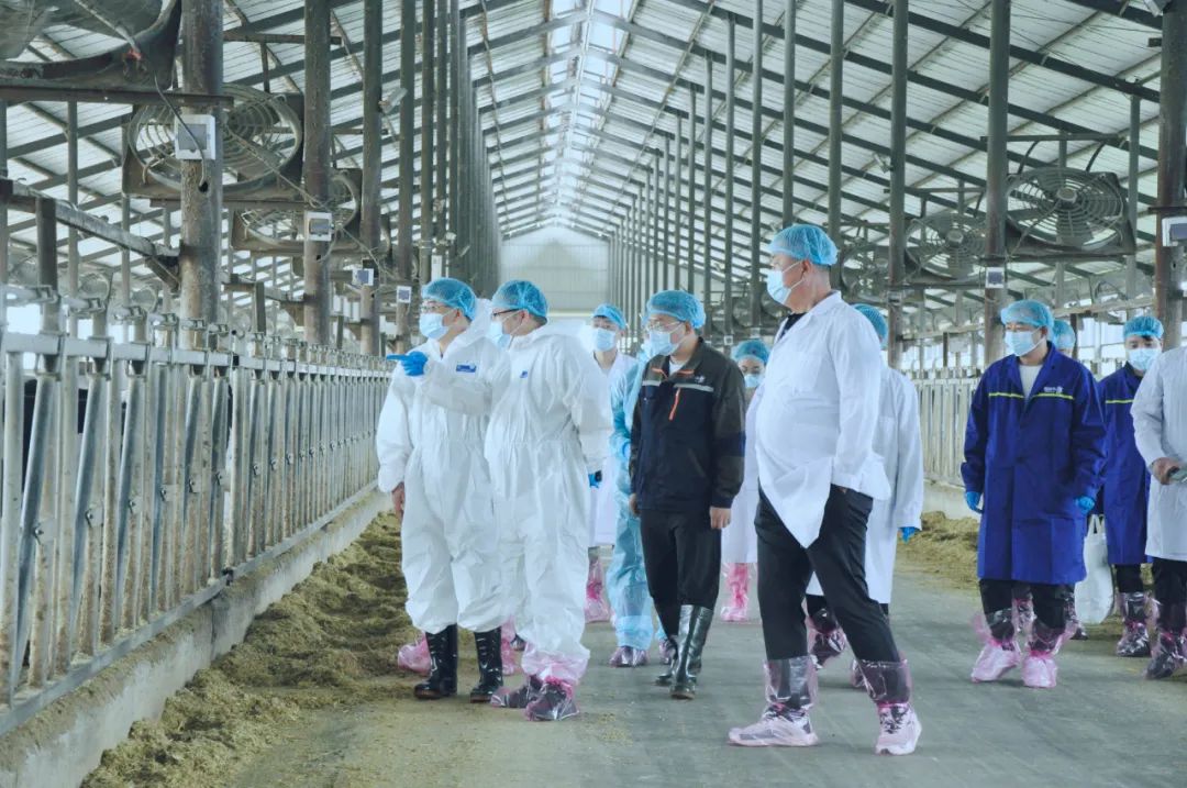 世界杯官方入口丨国家奶牛产业技术体系首席科学家、中国农业大学教授李胜利一行莅临世界杯官方入口鲁山瑞亚参观调研