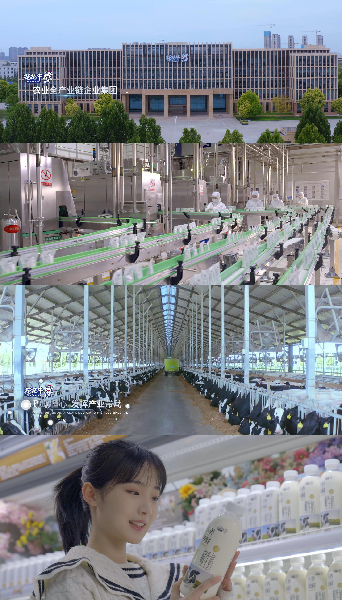快讯 | 沈阳市政府副市长郑滨一行莅临世界杯官方入口乳业集团考察