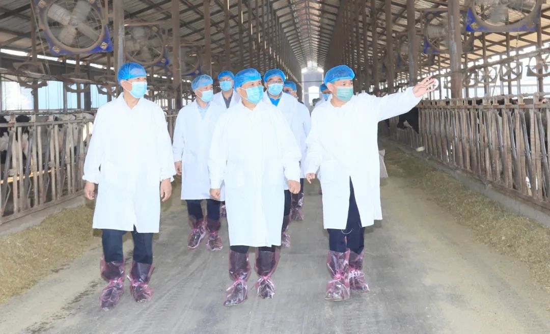 快讯丨河南省人民政府副省长武国定莅临世界杯官方入口乳业集团瑞亚牧业调研奶源基地建设情况