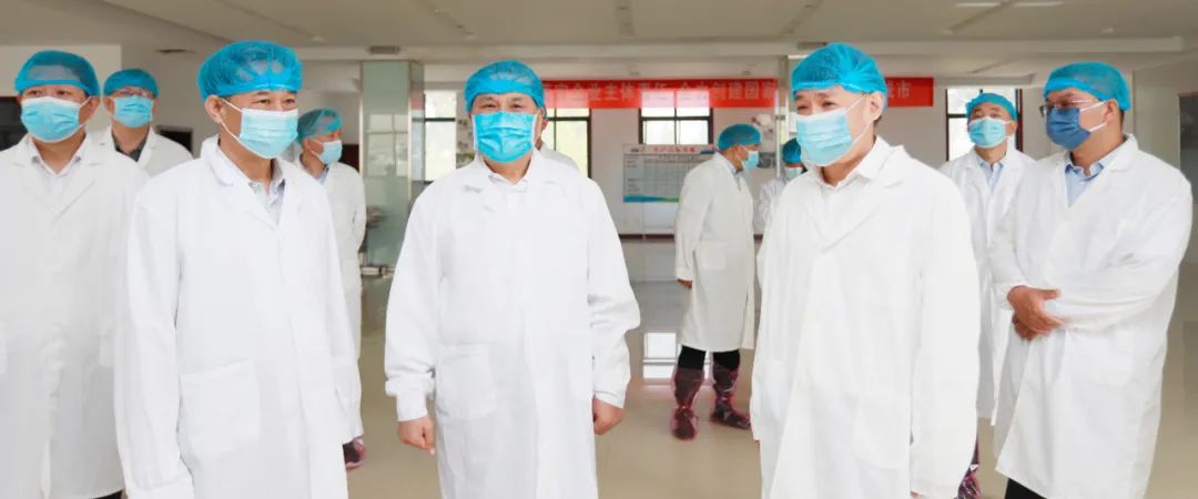 快讯丨河南省人民政府副省长武国定莅临世界杯官方入口乳业集团瑞亚牧业调研奶源基地建设情况