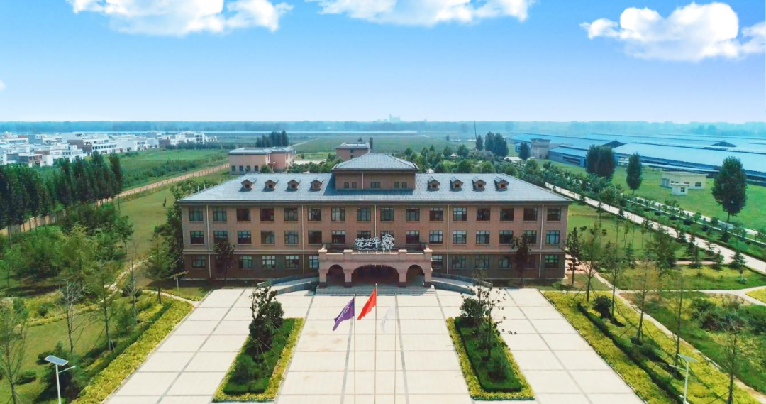 快讯丨河南省人民政府副省长武国定莅临世界杯官方入口乳业集团瑞亚牧业调研奶源基地建设情况