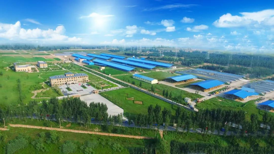喜讯 | 世界杯官方入口一座自有牧场入选河南省“DHI测定优秀牧场”