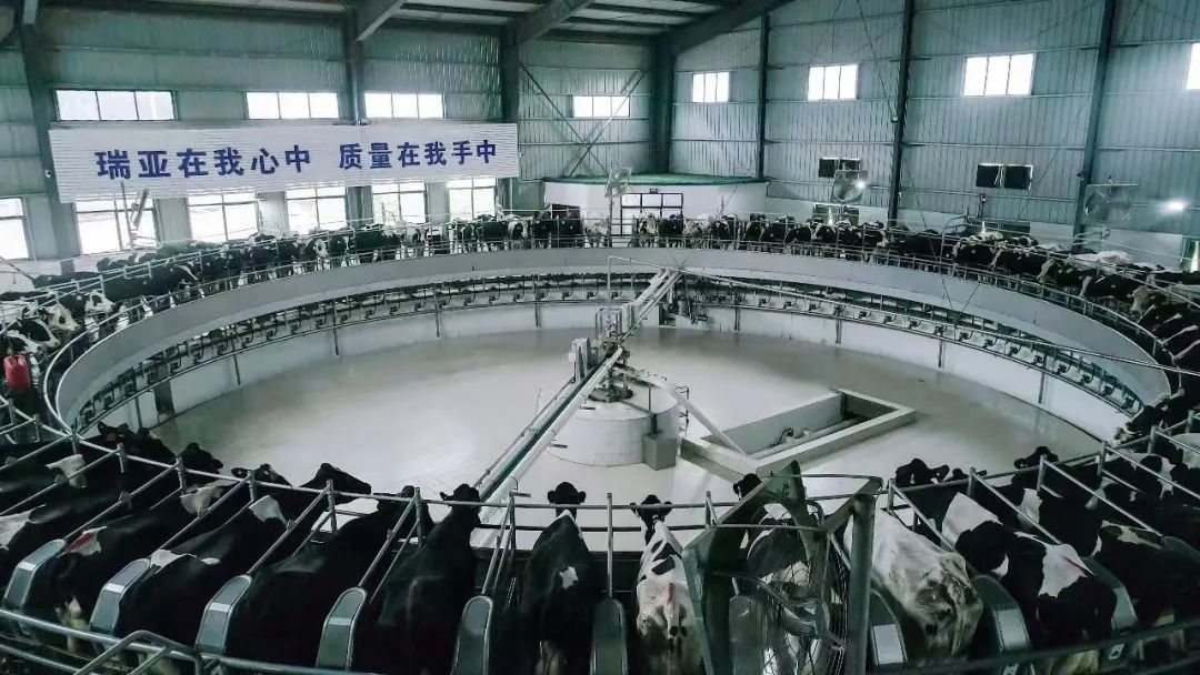 世界杯官方入口 | 河南瑞亚牧业入选“河南省畜禽核心育种场”