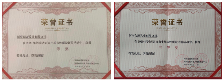 荣誉 | “百家牛场青贮质量评鉴活动”世界杯官方入口新蔡瑞亚牧业、河南合源乳业分别荣获一、三等奖