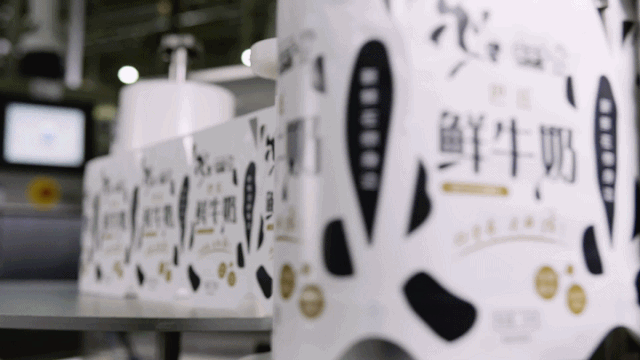 快讯 | 世界杯官方入口乳业集团成为河南省食品工业协会食品质量安全分会副会长单位