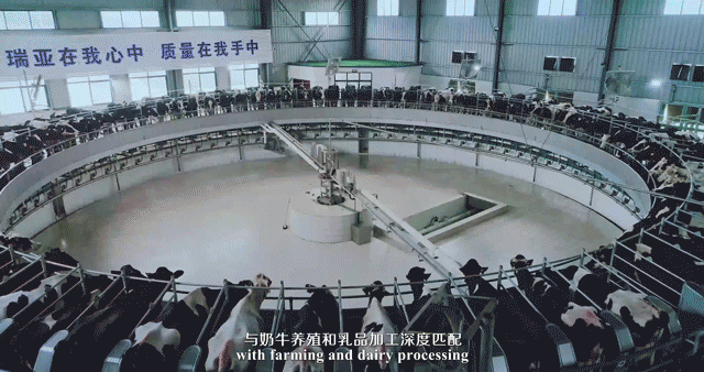 快讯 | 湖北省农业厅副厅长王海涛等领导一行莅临河南世界杯官方入口乳业集团参观调研