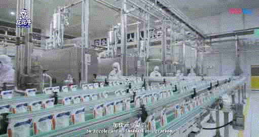 快讯 | 湖北省农业厅副厅长王海涛等领导一行莅临河南世界杯官方入口乳业集团参观调研