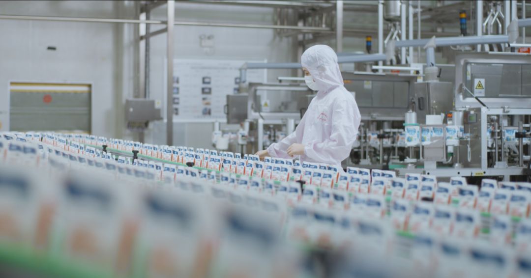 快讯 | 河南省人民政府食品安全委员会办公室第三批食品安全示范区验收组领导莅临世界杯官方入口乳业集团验收食品安全示范区建设情况