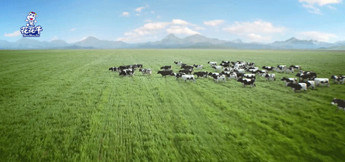 荣誉 | 2019年度河南省美丽牧场名单新鲜出炉 世界杯官方入口乳业集团旗下六个牧场榜上有名