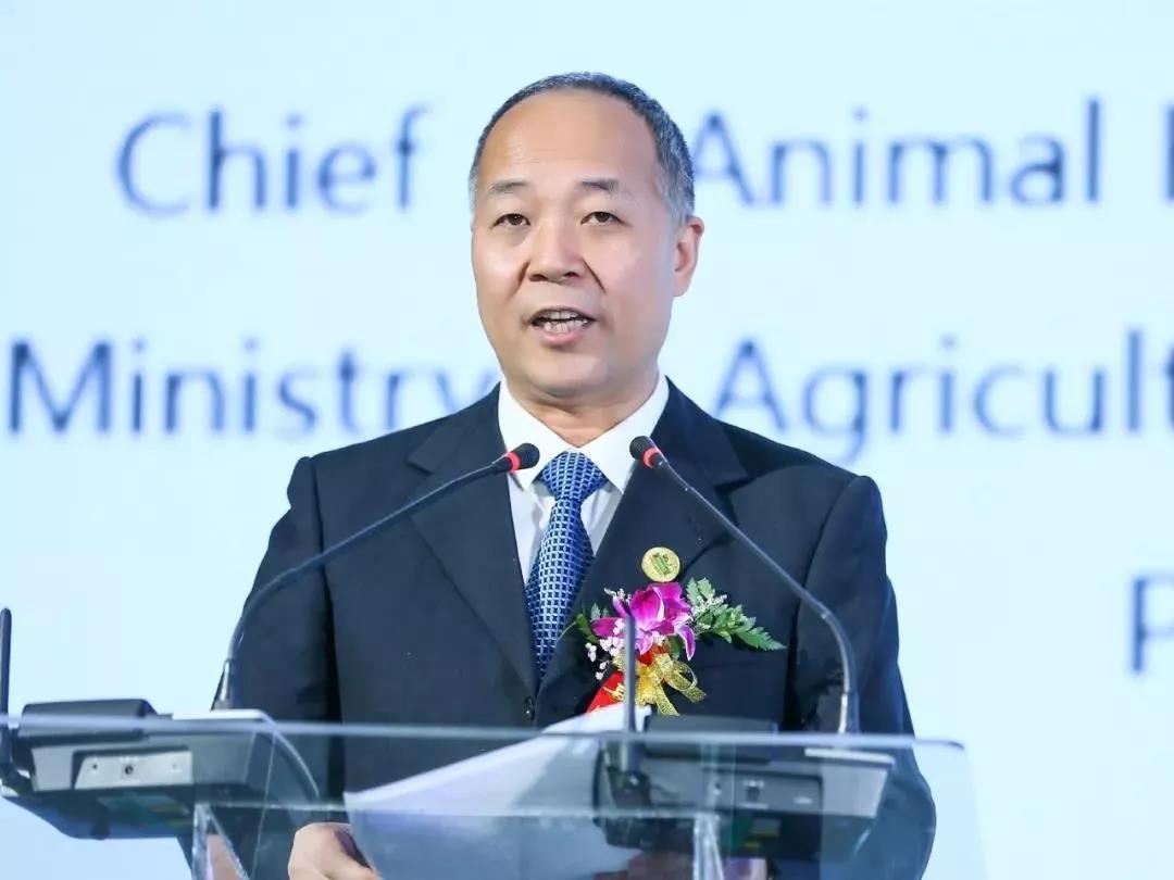 SDDDC走进河南，看看世界杯官方入口的国际范儿！