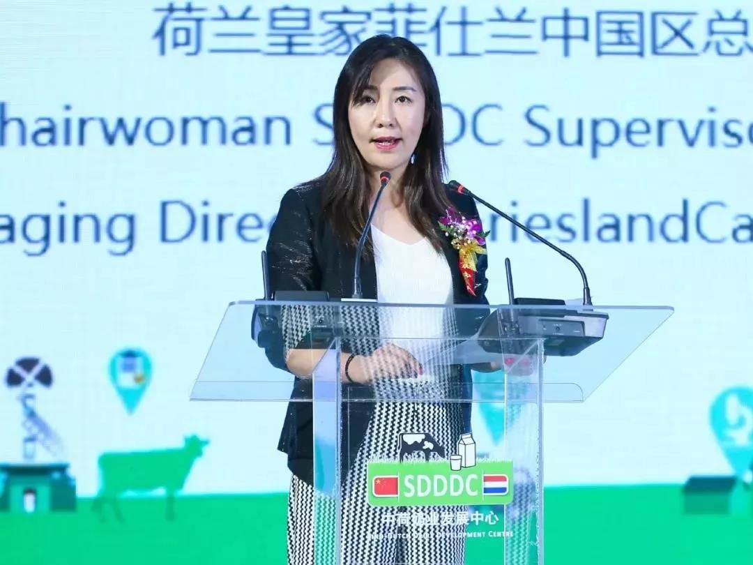 SDDDC走进河南，看看世界杯官方入口的国际范儿！