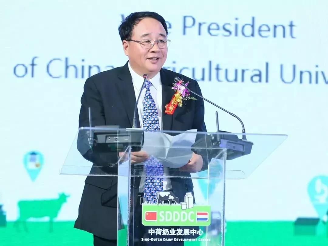 SDDDC走进河南，看看世界杯官方入口的国际范儿！