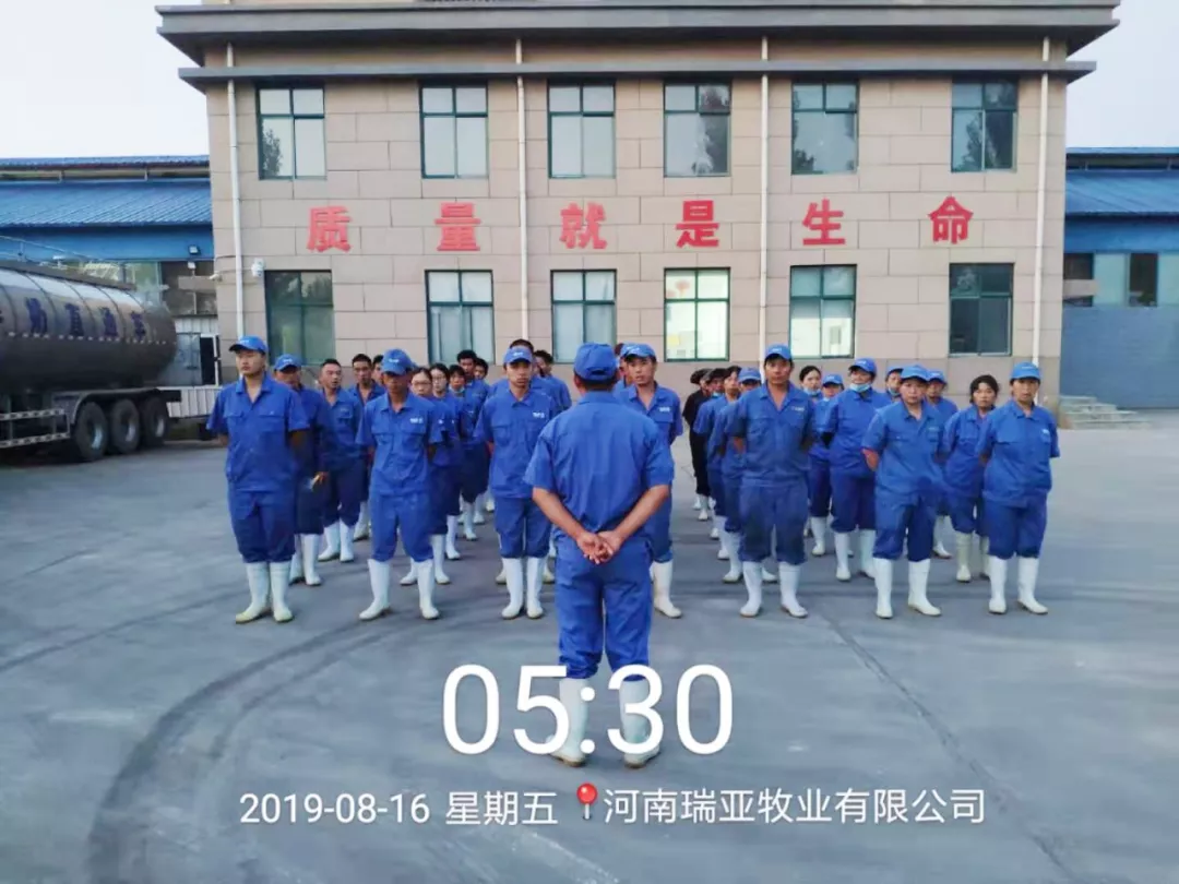 小晨会·大能量——砥砺奋进的世界杯官方入口，加油！