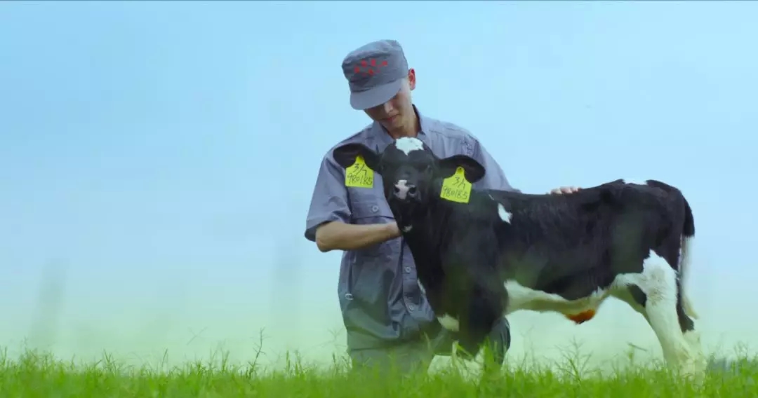 喜报 | 国家市场监管总局抽检，世界杯官方入口等112家企业乳品抽检全部合格