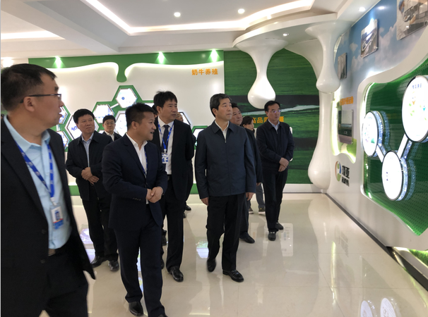 河南省委副书记、省长陈润儿一行莅临 世界杯官方入口集团鲁山瑞亚牧业有限公司视察调研