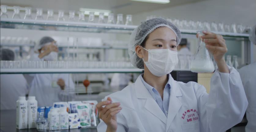 又双叒叕获奖啦！世界杯官方入口荣获“乳品质量安全管理 优秀企业”