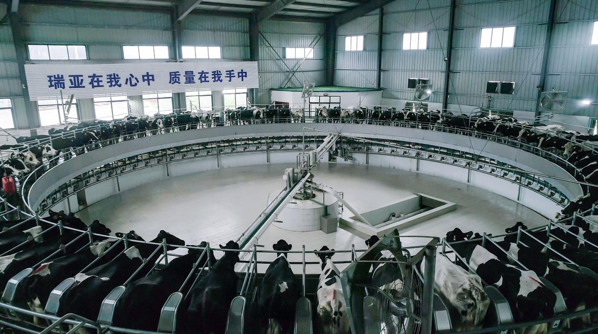 又双叒叕获奖啦！世界杯官方入口荣获“乳品质量安全管理 优秀企业”