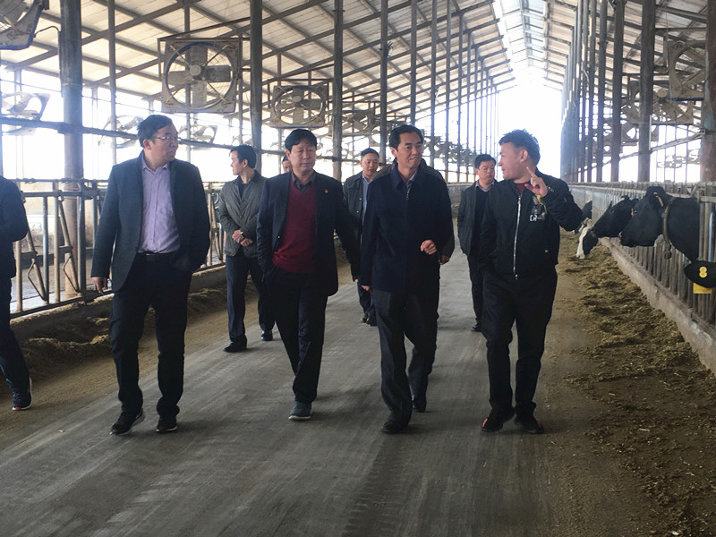 封丘县县长王献臣一行莅临 世界杯官方入口集团养殖、乳品事业部参观调研