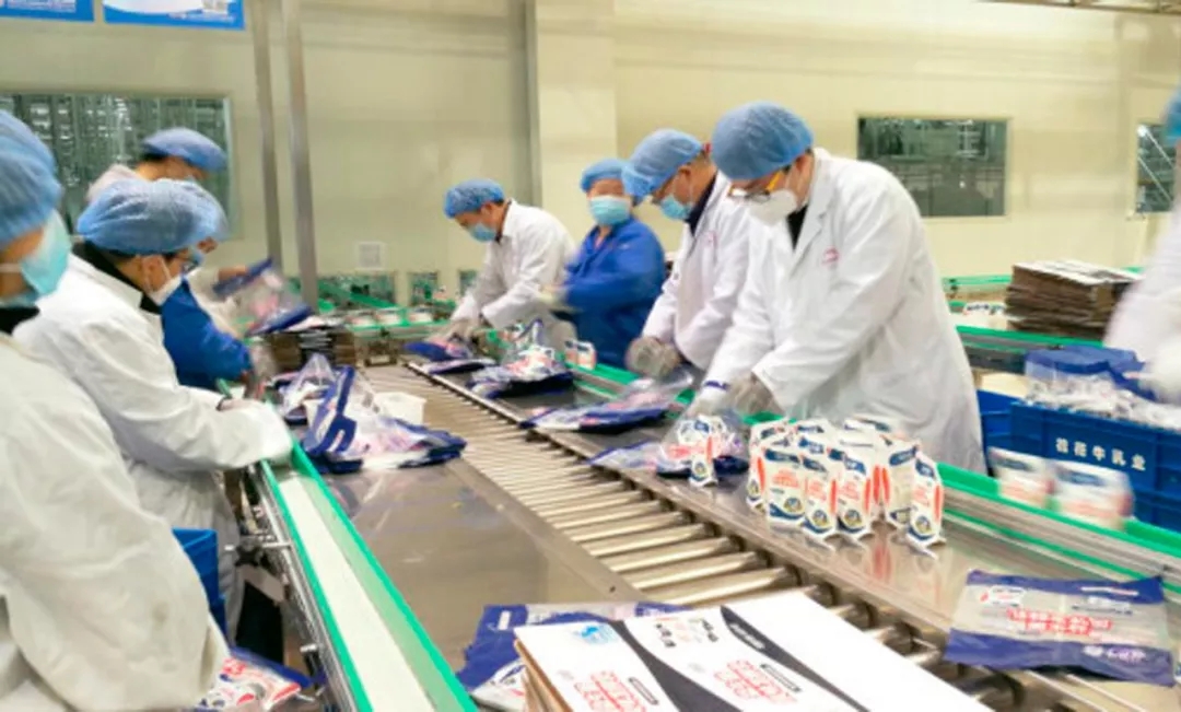 快讯丨河南省副省长武国定莅临世界杯官方入口乳业集团调研重点保障企业复工复产情况
