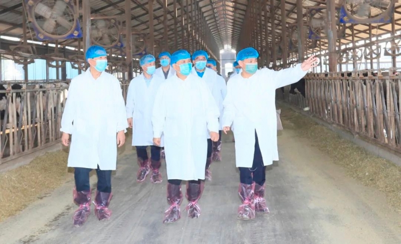 快讯丨河南省人民政府副省长武国定莅临世界杯官方入口乳业集团瑞亚牧业调研奶源基地建设情况
